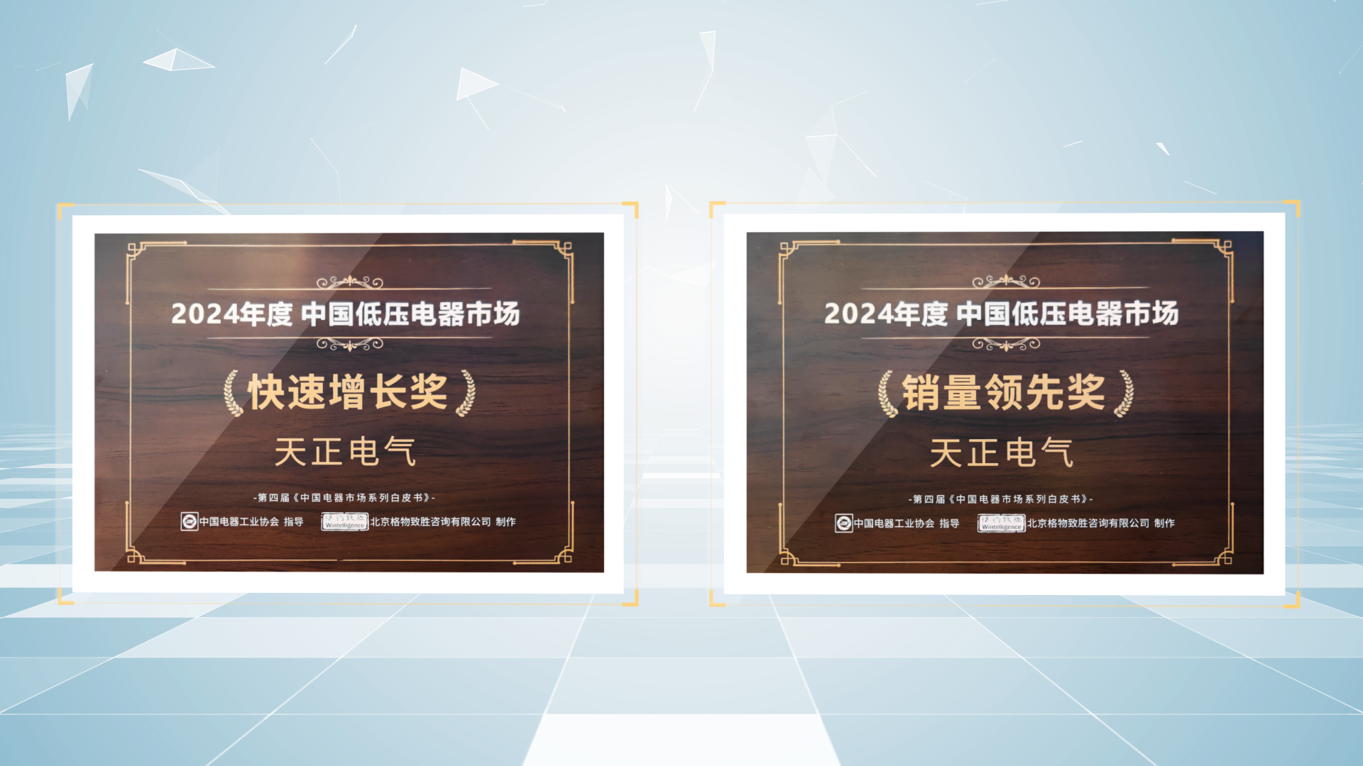 銷量領(lǐng)先、快速增長丨天正榮膺2項(xiàng)行業(yè)年度大獎(jiǎng)