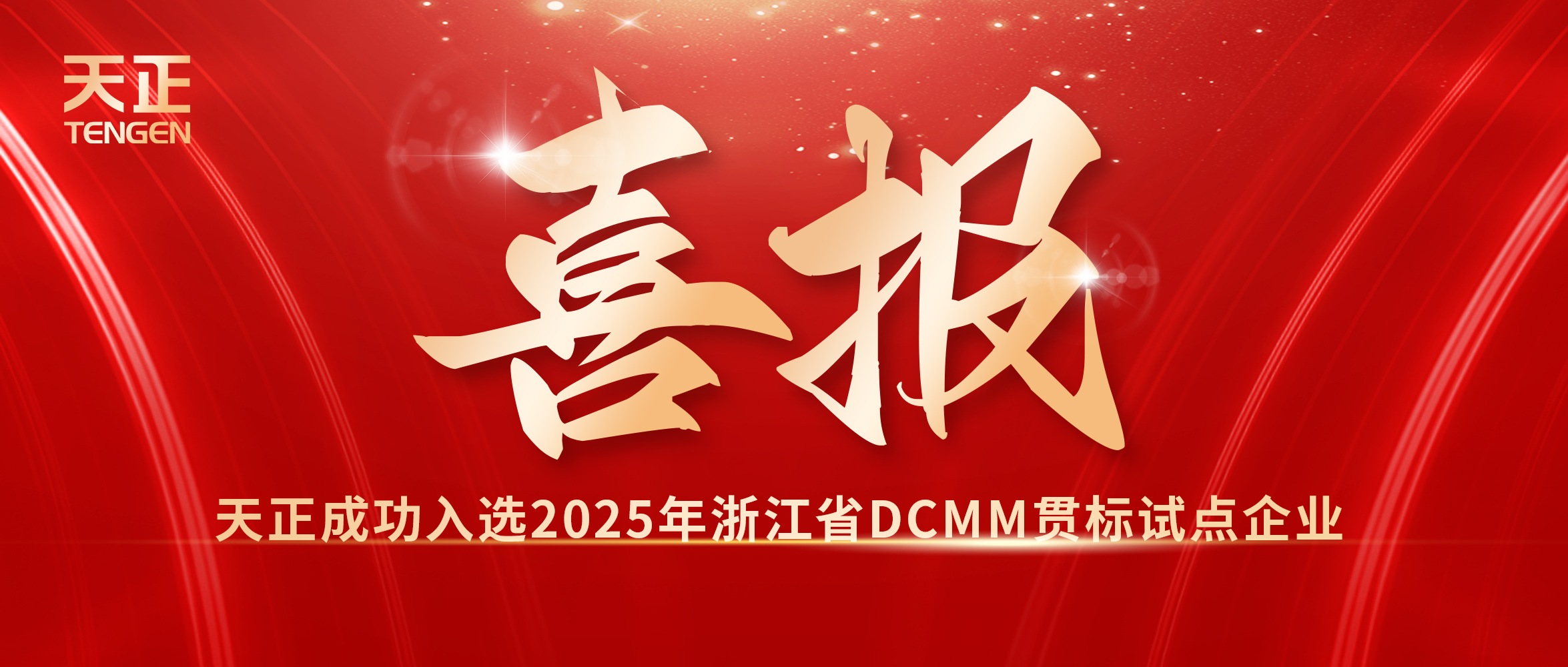 喜報(bào)！天正入選浙江省DCMM貫標(biāo)試點(diǎn)企業(yè)